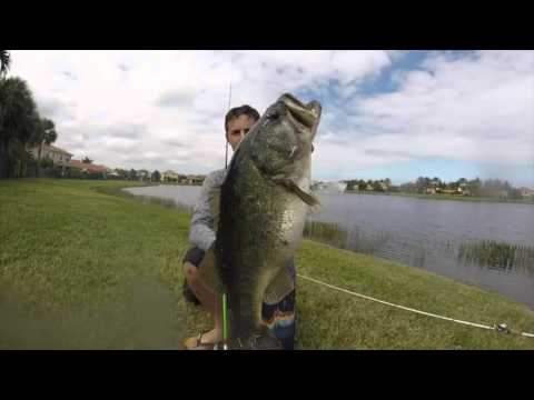 two 12 pound bass youtube video