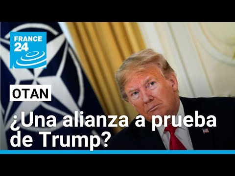 ¿Qué viene para la OTAN después de la cumbre en Washington? • FRANCE 24 Español