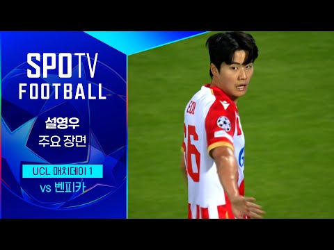 [24/25 UCL] 즈베즈다 vs 벤피카 설영우 주요장면｜SPOTV FOOTBALL