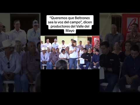 Productores del sur de #Sonora quieren que #Beltrones los represente en el #Senado | #Elecciones2024