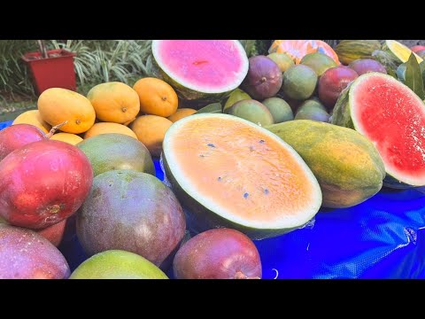 Recetas para aprovechar temporada de mango