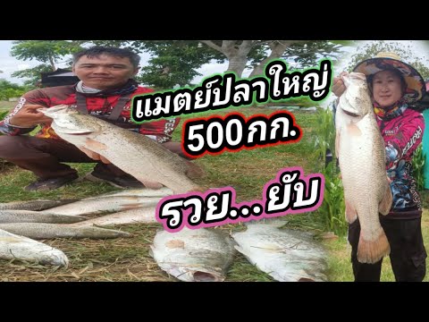 Ep229ตกกะพงบุพเฟ่บ่อบังป๊อกแ