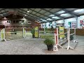 Show jumping horse Getalenteerde springruin te koop