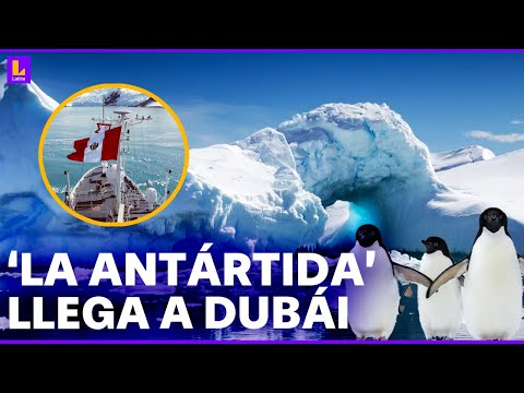 Documental 'La Antártida' de Latina llegará a evento de ONU en Dubái sobre cambio climático 'COP 28'