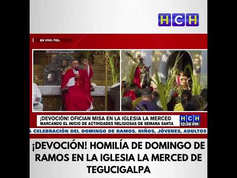 Tegucigalpa celebra la entrada de Jesús a Jerusalén y el inicio de la Semana Santa