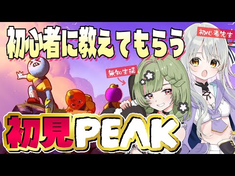 【PEAK】全く何も知らないので、初心者の先生を連れてきました【 初見 】