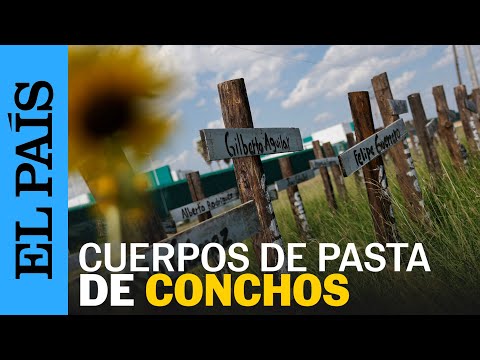MÉXICO | Encuentran cuerpos en Pasta de Conchos | EL PAÍS