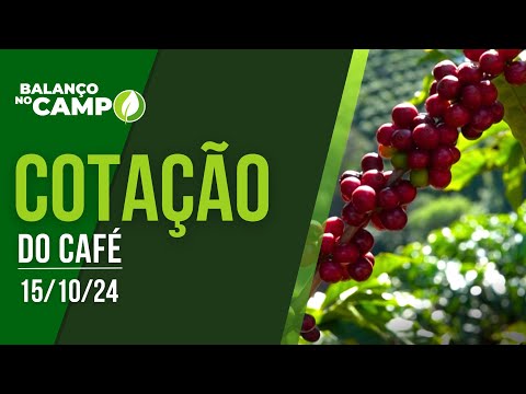 COTAÇÃO DO CAFÉ - 15/10/2024