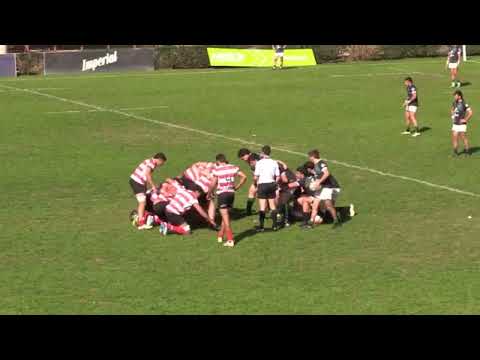 Jockey Club de Córdoba 29 - Tucumán Rugby 8 #TDI A 2024