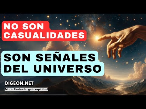 NO SON CASUALIDADESMENSAJE DE LOS ÁNGELES PARA TI -DIGEON- Arcángel Metatrón - Ens. VERTI