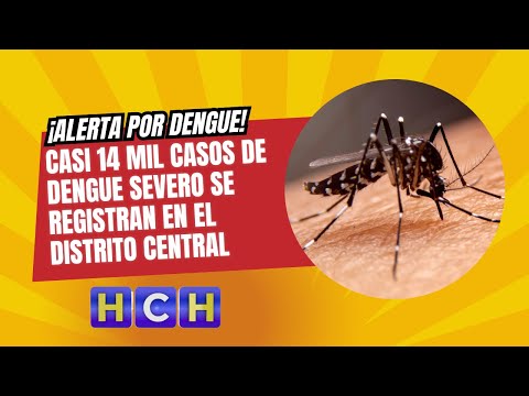 ¡Alerta por Dengue! casi 14 mil casos de dengue severo se registran en el Distrito Central