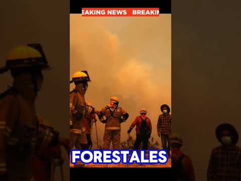 EL FUEGO ARRASA CHILE  #news #newstoday #ultimahora #youtubeshorts #noticiasenespañol #latest