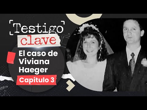CASO VIVIANA HAEGER  LA ENTREVISTA A JAIME ANGUITA  TESTIGO CLAVE