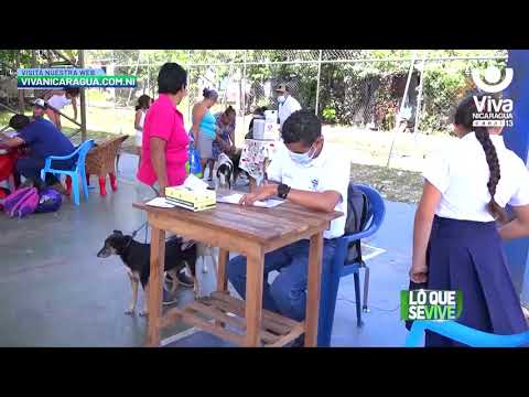 Minsa inicia jornada de vacunación antirrábica en Matagalpa