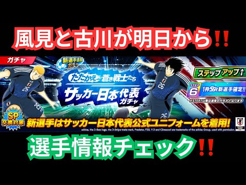 風見と古川が明日から‼️選手情報を見ていきましょう‼️/キャプテン翼 たたかえドリームチーム