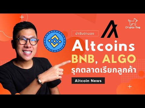 ALTCOINSBNBALGOรุกตลาดหวังเ