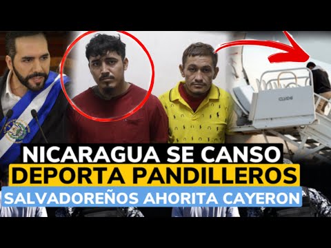 Nicaragua Deportä Pandiller0s salvadoreños Salieron Volando