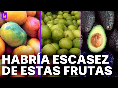 Peligran cultivos de limón, mango, uva y más frutas en el norte del Perú