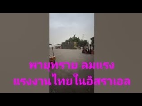 พายุทรายในประเทศอิสราเอลแรงงา