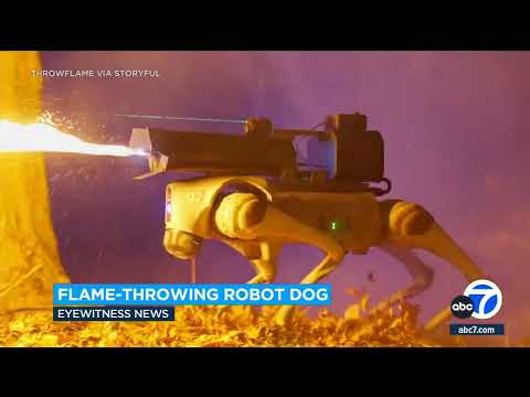Company in Ohio is selling robot dogs with a flamethrower attached