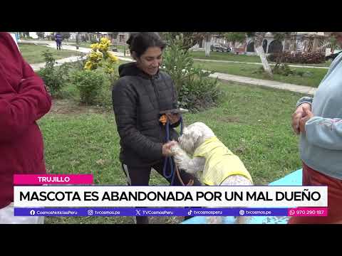 Trujillo: Mascota es abandonada por un mal dueño