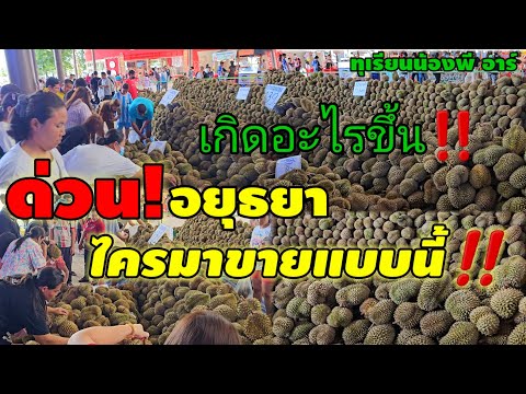 ขายได้ไง!ทุเรียนหมอนทองขายราคา