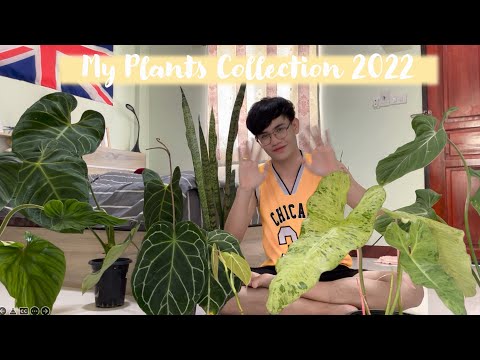 Myplants2022