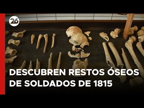 BÉLGICA | Arqueólogos descubrieron restos óseos de soldados de 1815