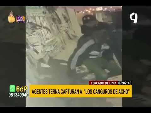 Cercado de Lima: agentes Terna capturan a los 'Canguros de Acho'