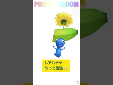 【バナナシリーズ】レアバナナ君にやっと出会えました🍌 #pikminbloom #pikmin #ピクミン #バナナ