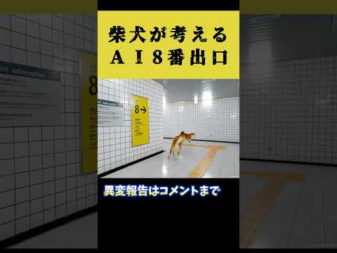 柴犬の考える8番出口 #shorts