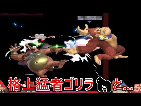 俺より戦闘力の高い猛者ゴリラと連戦の末まさかの結末を迎えました...