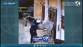 حتى الخيل مصدوم منه