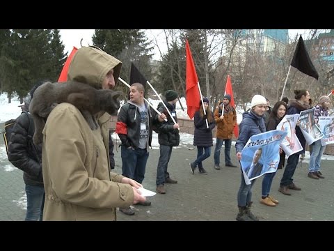 В Томске против системы "Платон" около двадцати человек и кот