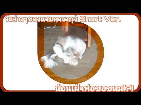 วันว่างๆของนายคาวากุจิ-Short-V วันว่างๆของนายคาวากุจิ-Short-V