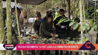 Ponte al día con las noticias más importantes de Bogotá Región en #NoticiasCapital | ???? EN VIVO