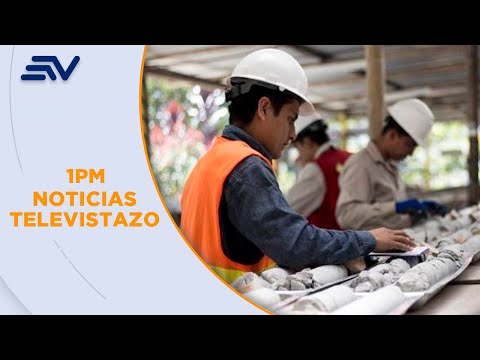 La Empresa Nacional de Minería registró pérdidas de 5,3 millones de dolares | Televistazo | Ecuavisa