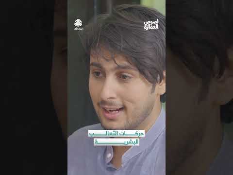 حركات الثعالب البشرية | لصوص العمارة