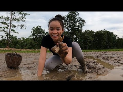 เลาะทุ่งนาพ้อของแช่บหลายคัก-ອັ เลาะทุ่งนาพ้อของแช่บหลายคัก-ອັ