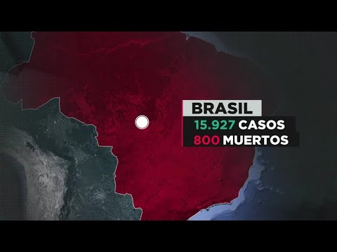 COVID-19 en Brasil: Entre el coronavirus y el hambre en las poblaciones más pobres