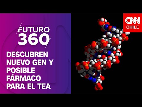 Descubren nuevo gen y posible fármaco para el TEA | Bloque científico de Futuro 360