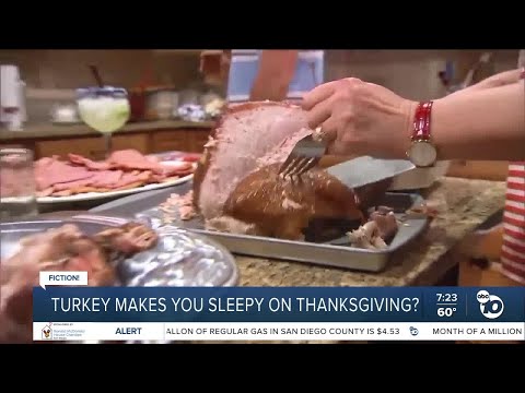 Fact or Fiction: Eating Thanksgiving turkey makes you sleepy?