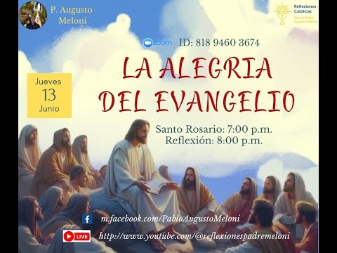 Tema: La Alegría del Evangelio