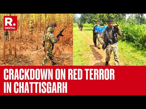 31 Maoists Killed By Security Forces In Dantewada Chhattisgarh, Forces Recovered Arms From Maoist