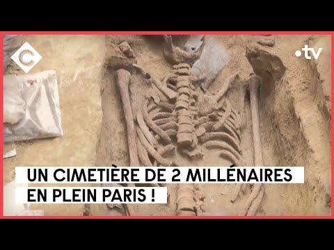 Une nécropole antique en plein Paris - Le 5/5 - C à Vous - 19/04/2023