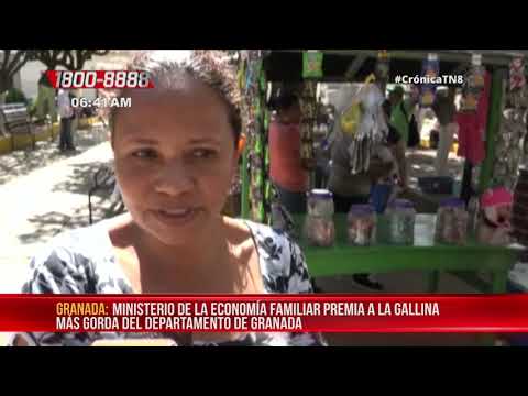 Realizan concurso Gallina más Gorda para la cena navideña en Nandaime - Nicaragua