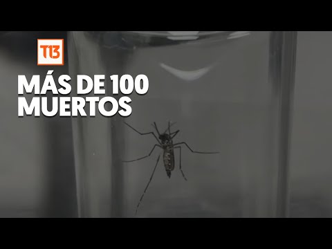 Más de 100 muertos por brote histórico de dengue en Argentina