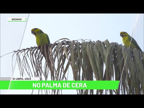 Titulares de Teleantioquia Noticias de las 7:00 p.m. - sábado 01 de abril del 2023