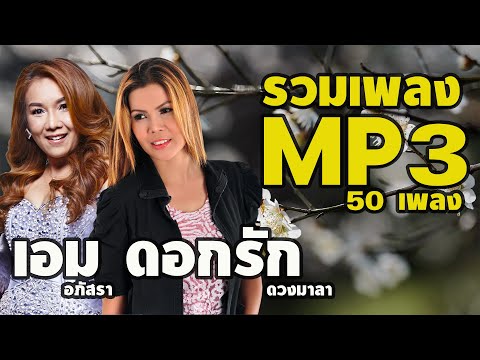 รวมMP3:50เพลง-ดอกรักดว