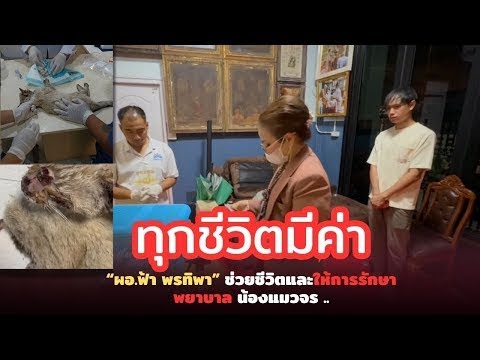 ทุกชีวิตมีค่า“ผอฟ้าพรทิพา”